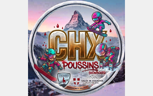 POUSSINS