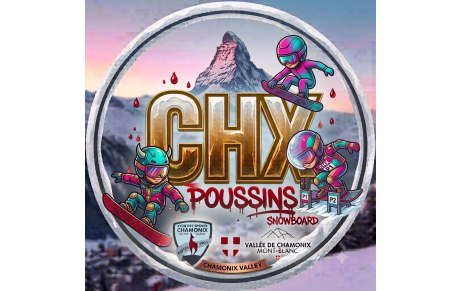 POUSSINS